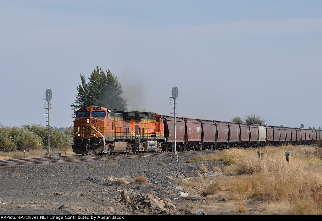 BNSF 5338
